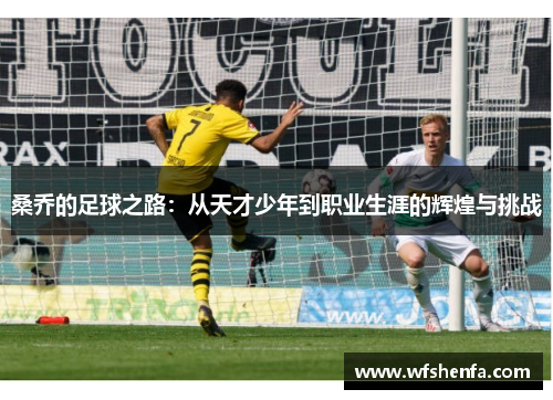 桑乔的足球之路：从天才少年到职业生涯的辉煌与挑战